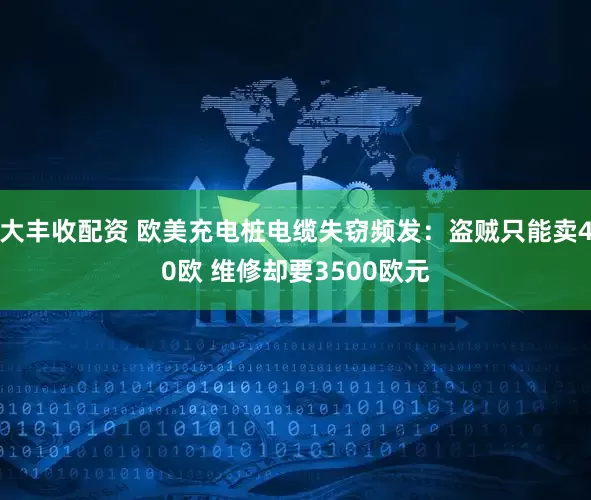 大丰收配资 欧美充电桩电缆失窃频发：盗贼只能卖40欧 维修却要3500欧元